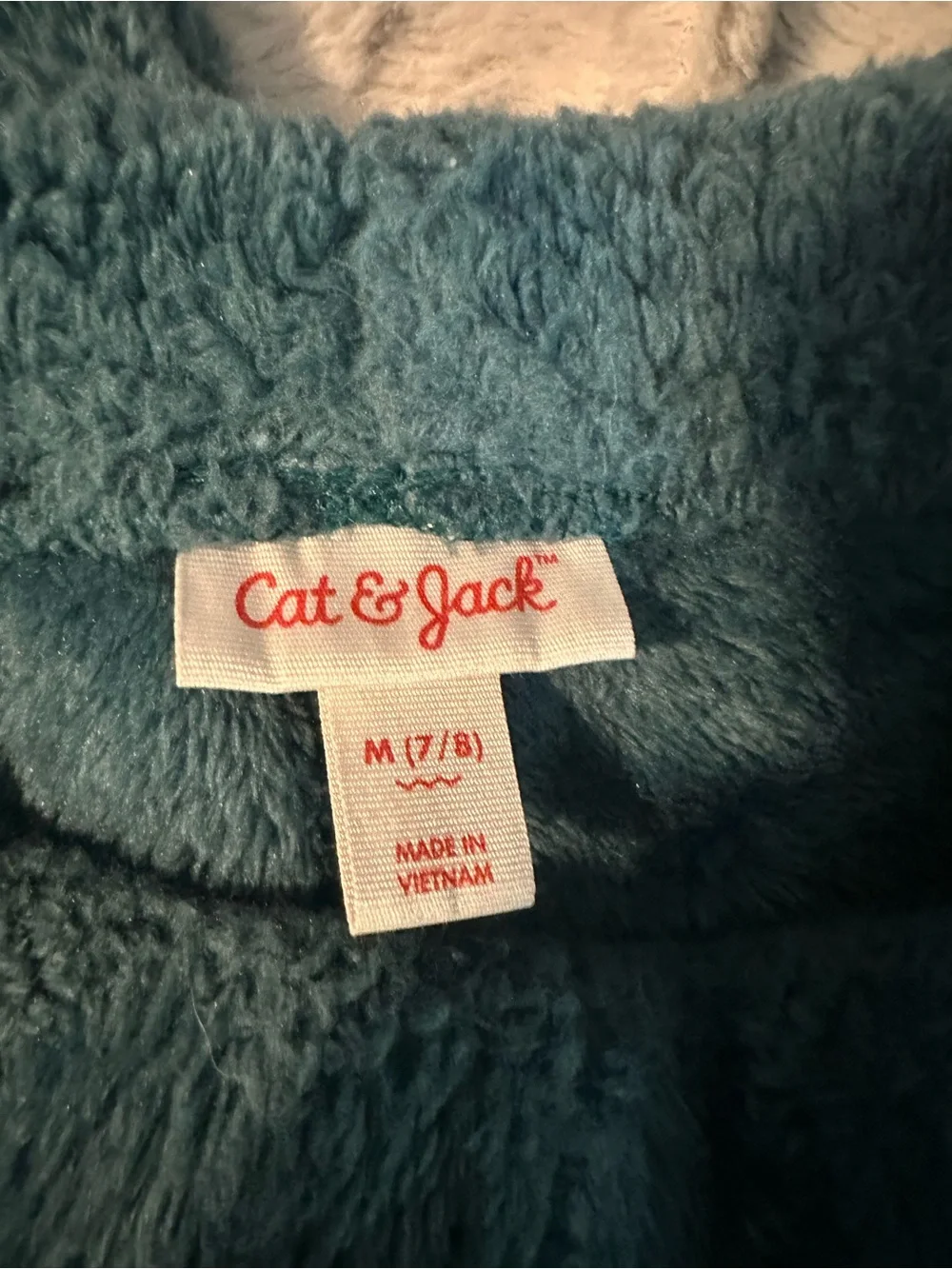 Cat & Jack Plush Jogger Pants in Teal Blue